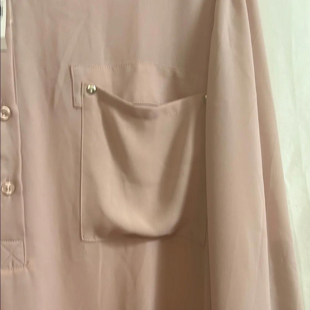 Pale Pink Sheer Women's Top by Lane Bryant - Picture 6 of 11